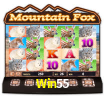 Win55